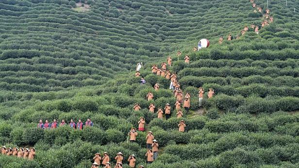 Молитва за чай в Китай