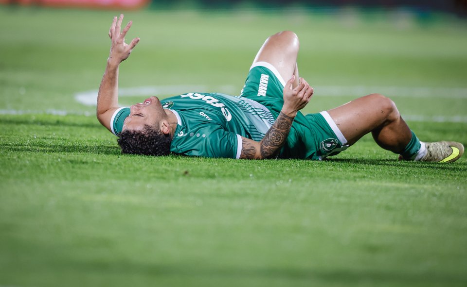 Лудогорец и Левски1