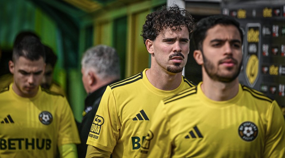 Добруджа Берое1