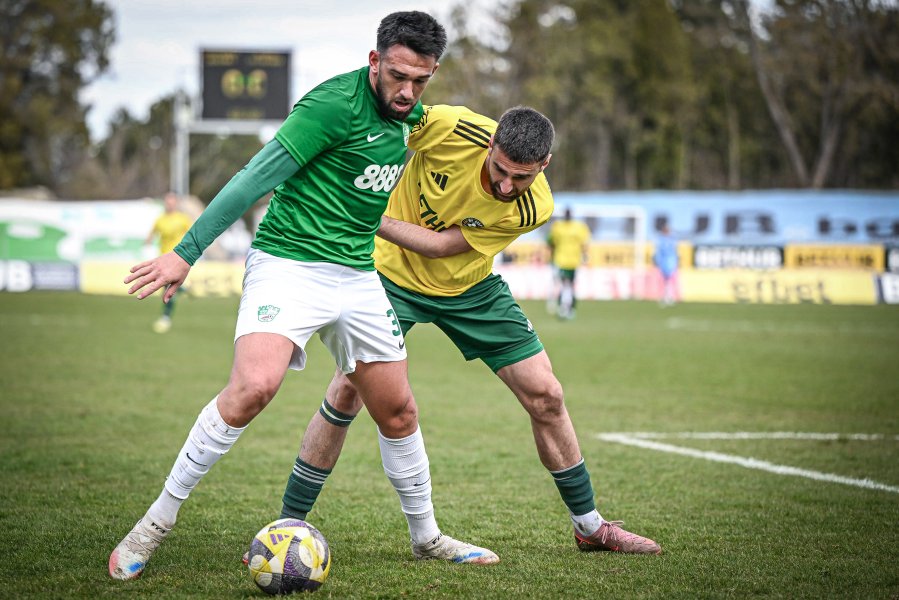 Добруджа Берое1