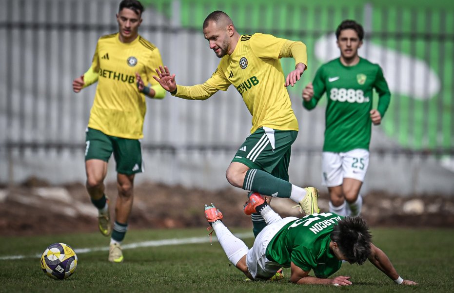 Добруджа Берое1