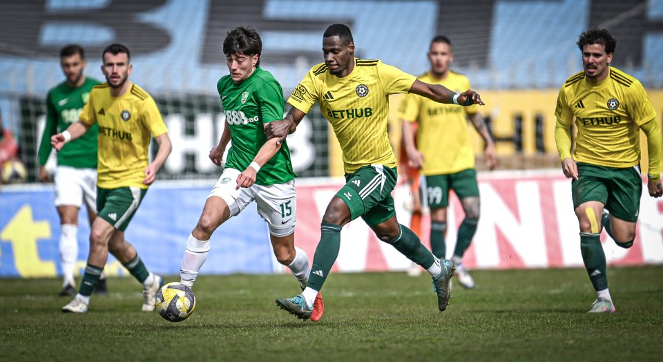 Добруджа Берое1