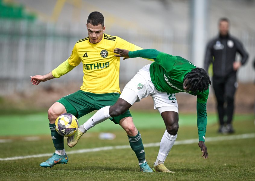 Добруджа Берое1