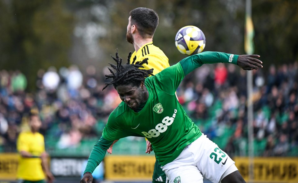 Добруджа Берое1