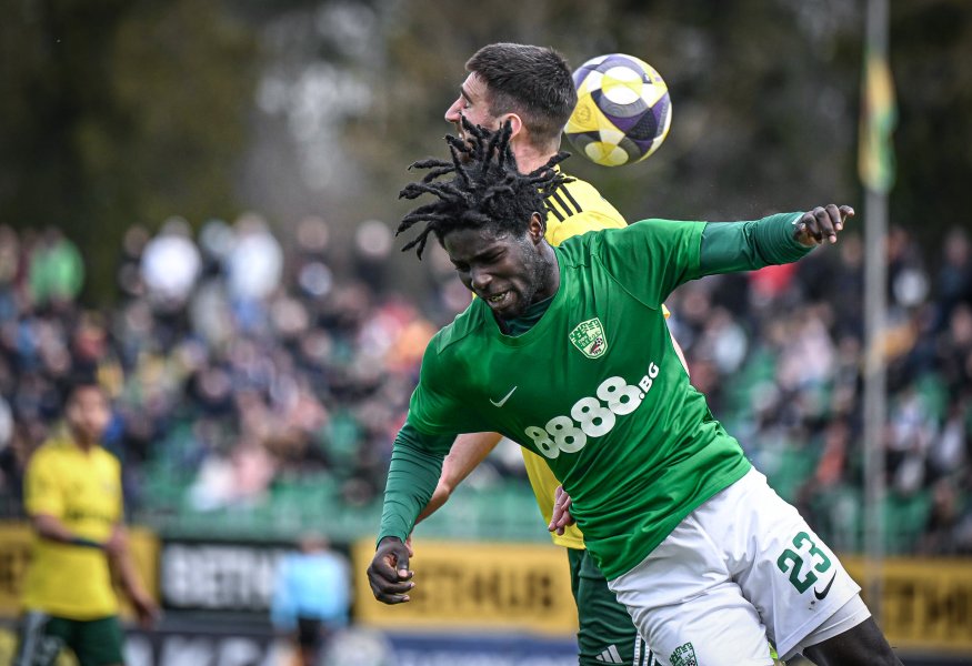 Добруджа Берое1