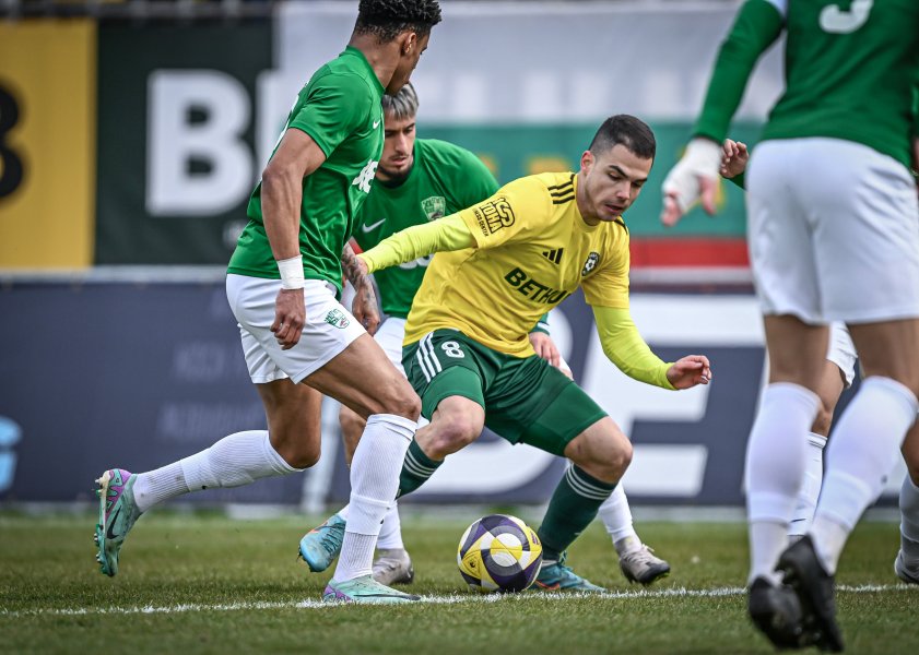 Добруджа Берое1