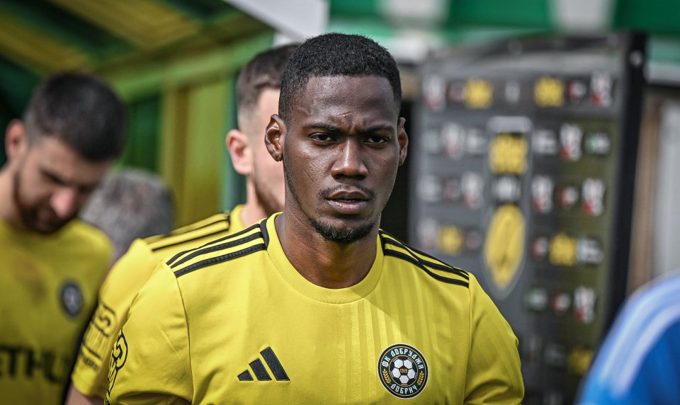 Добруджа Берое1