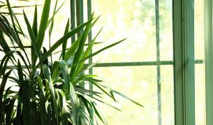 Люлеещ стол – как да изберете удобство, което наистина ще използвате