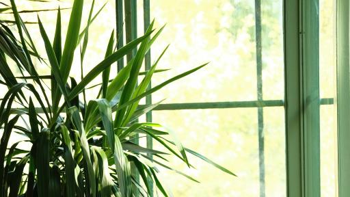 Люлеещ стол – как да изберете удобство, което наистина ще използвате