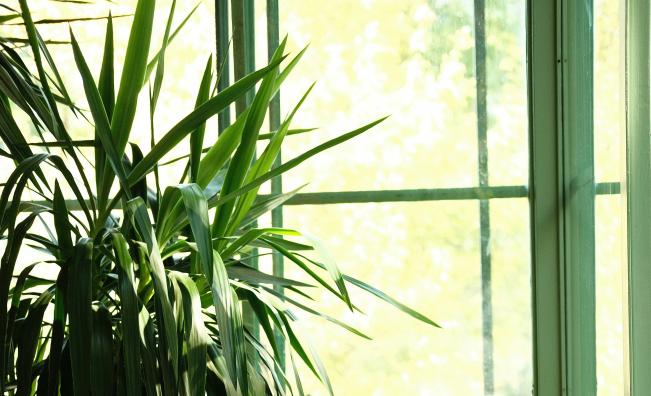 Люлеещ стол – как да изберете удобство, което наистина ще използвате