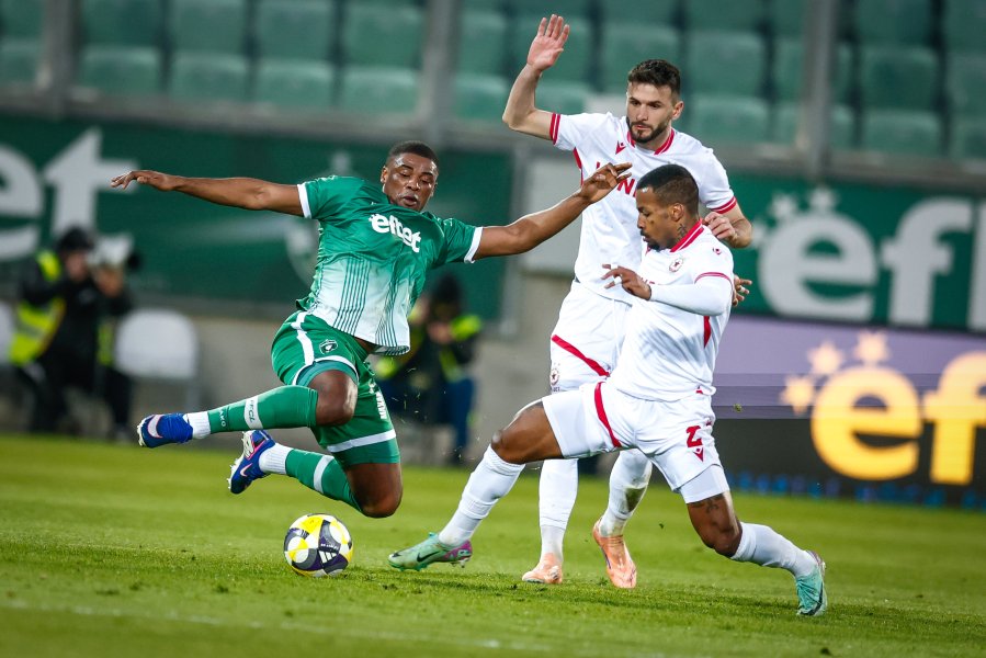 Лудогорец ЦСКА1