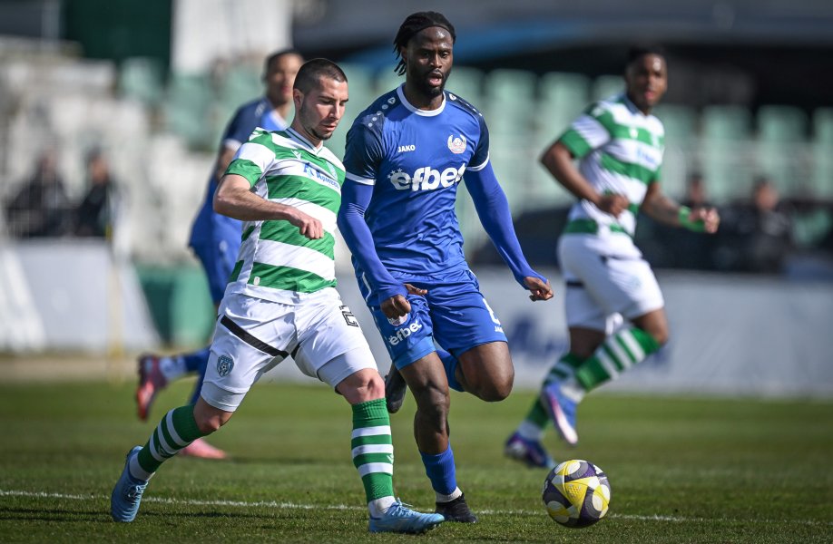 Черно море Монтана1