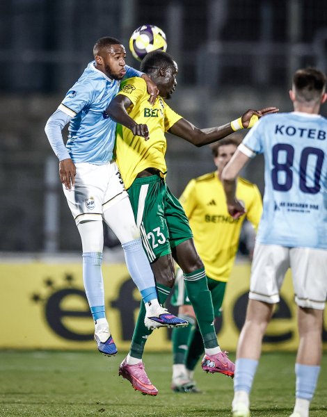 Арда Добруджа1