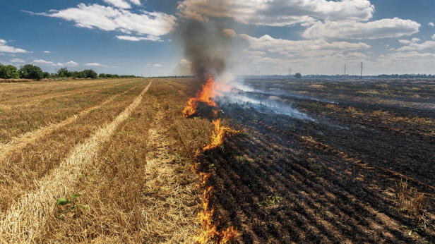Не палете стърнища, риск от пожар!