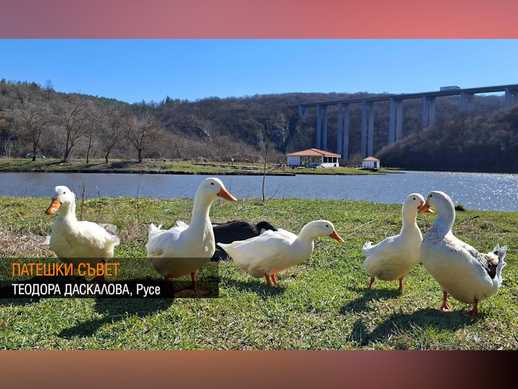 Щракни времето