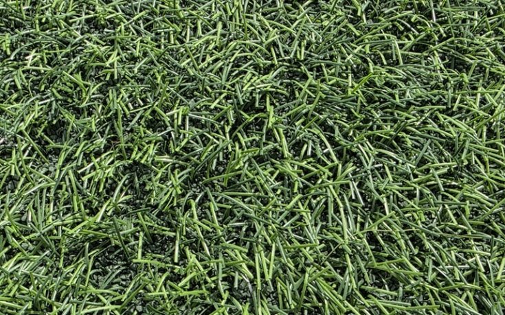 Лош терен ще мъчи младежите в Гибралтар