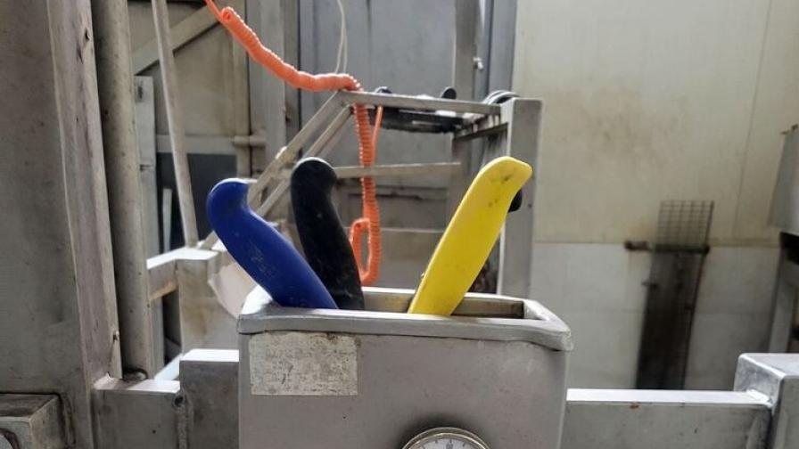 Спряха месодобивен завод в Ловешко за нарушения