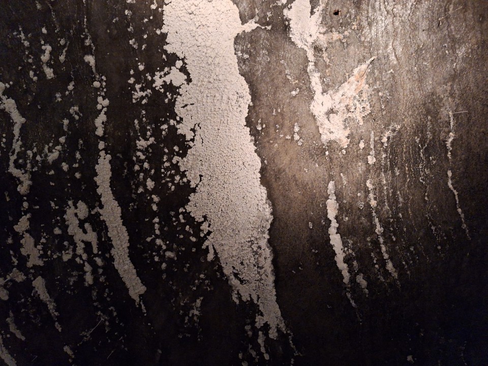 <p>Солната мина Величка край Краков, действала от XIII в. до 1996 г. , е уникален подземен град от сол в списъка на ЮНЕСКО. С над 300 км тунели и изящни параклиси , тя днес е прочута туристическа дестинация и лечебен санаториум.</p>