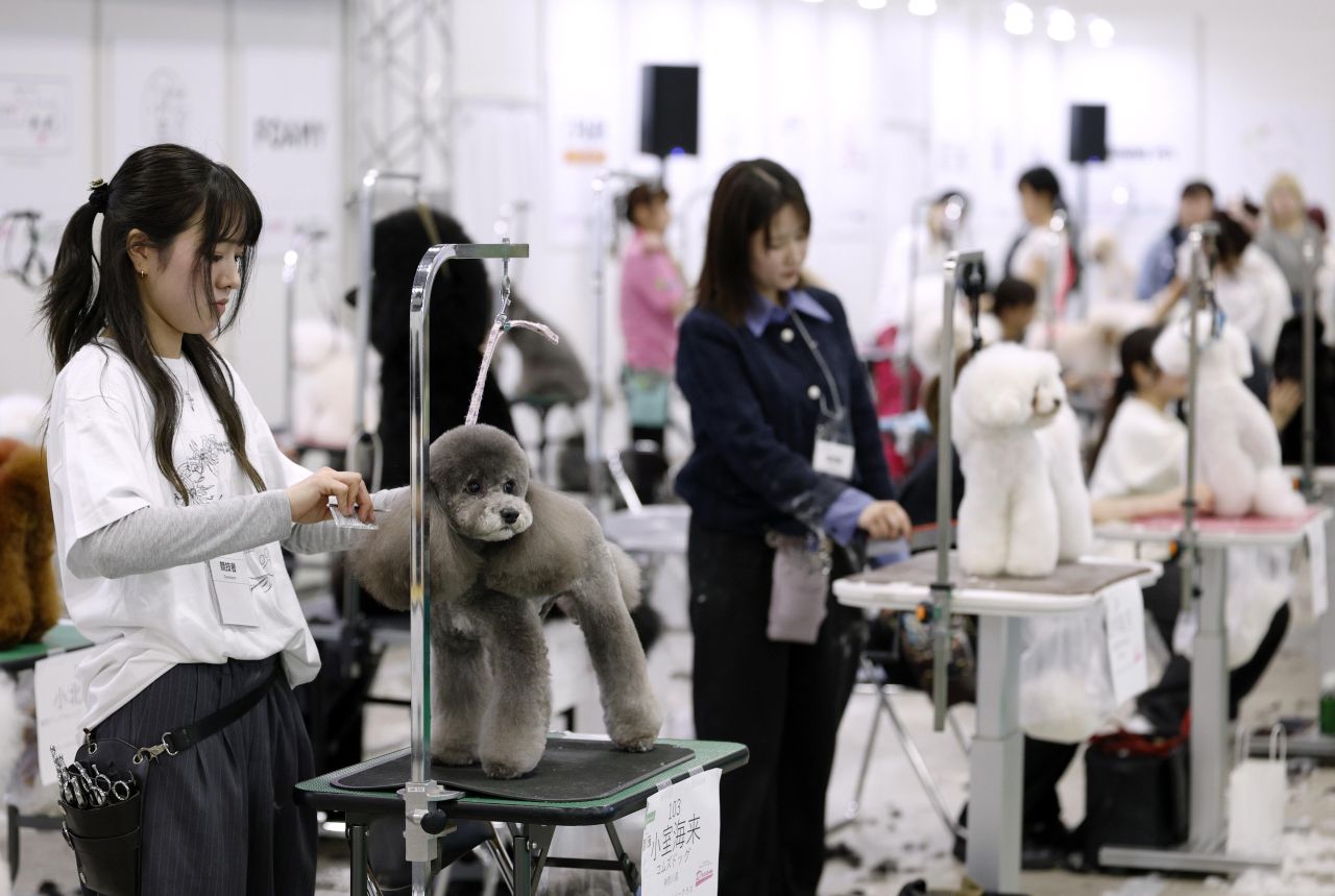 <p>Юбилейното 15-о изложение Interpets Tokyo 2026 в Tokyo Big Sight ще събере стотици изложители и топ стилисти, поставяйки основен акцент върху професионалния груминг и иновативните продукти за разкрасяване на домашни любимци.</p>