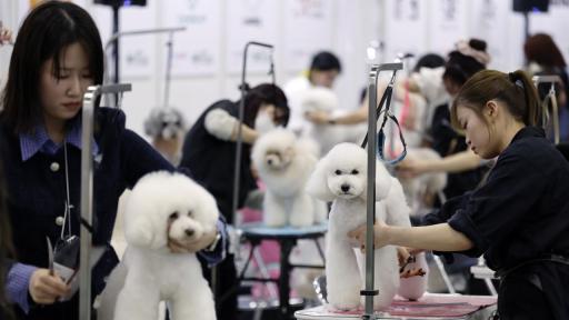 Висша мода за четириноги: Interpets 2026 превзема Токио