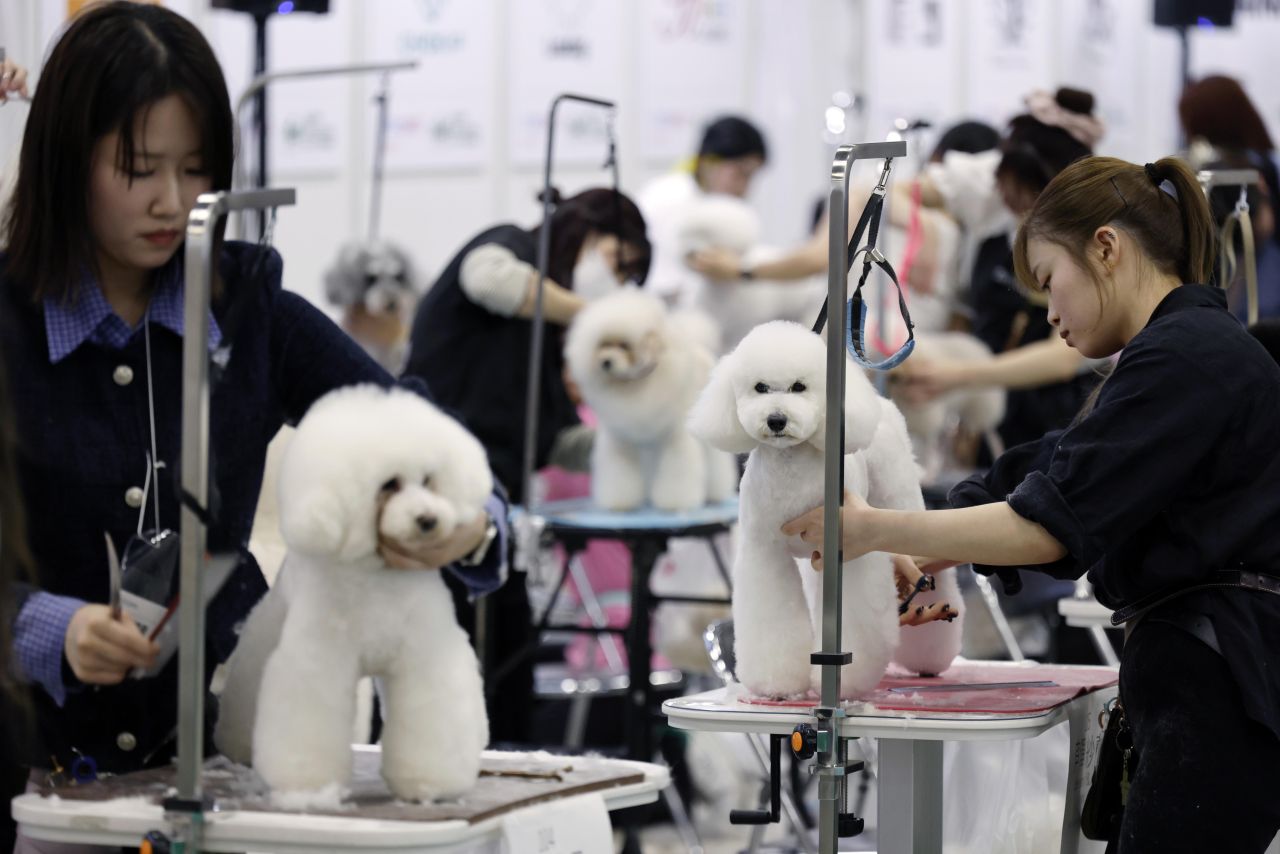 <p>Юбилейното 15-о изложение Interpets Tokyo 2026 в Tokyo Big Sight ще събере стотици изложители и топ стилисти, поставяйки основен акцент върху професионалния груминг и иновативните продукти за разкрасяване на домашни любимци.</p>