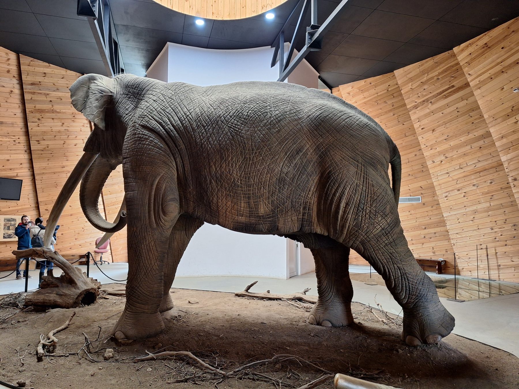 <p>Плиоценският парк в Дорково е най-голямото находище на Балканите, събрало над 600 кости от 30+ вида древни животни. С уникалния си музей то разкрива вълнуваща история за климата и природата в Източна Европа преди милиони години.</p>