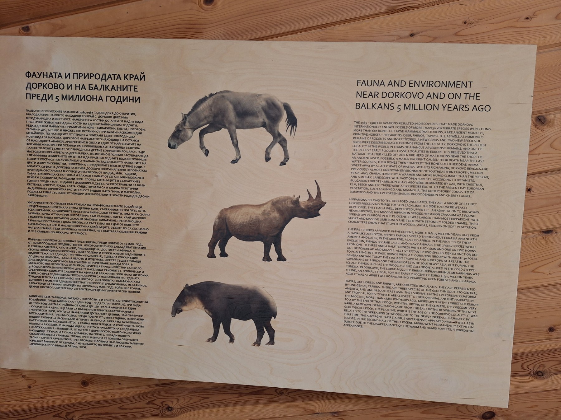 <p>Плиоценският парк в Дорково е най-голямото находище на Балканите, събрало над 600 кости от 30+ вида древни животни. С уникалния си музей то разкрива вълнуваща история за климата и природата в Източна Европа преди милиони години.</p>