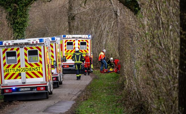 Трима загинаха при падане на дърво по време на търсене на великденски яйца в Германия