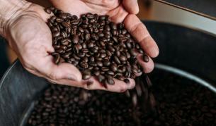 Арабика срещу Робуста: Каква е разликата, кое е по-силно и кое кафе да изберете?