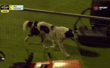 Неочакван посетител на двубоя между Арда и Лудогорец