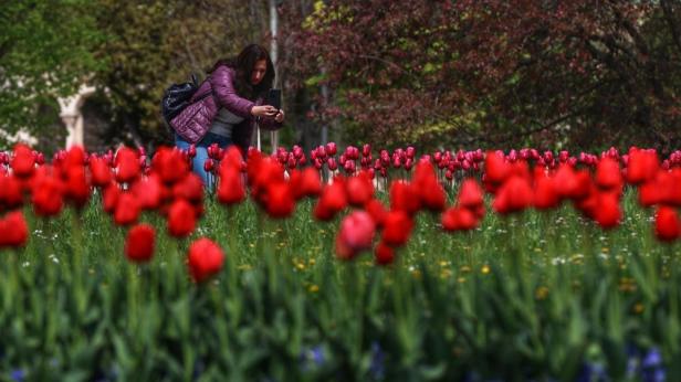 Започва слънчев пролетен период