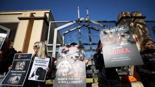 Протест пред СГС с искане за ефективни присъди за насилието над животни