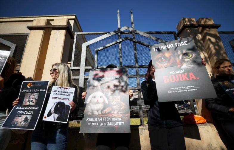 Протест срещу насилието над животни