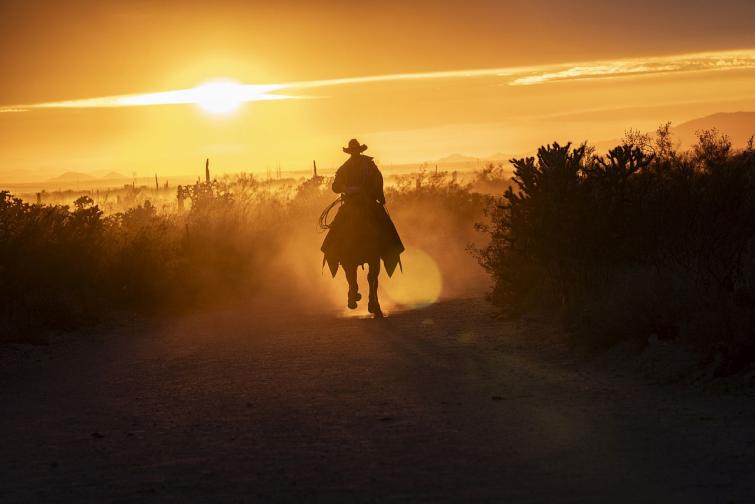 Дивия запад