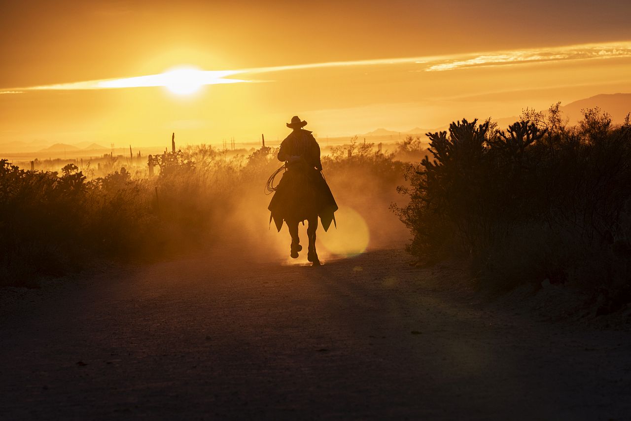 <p><strong>Родени на 1-ви, 10-ти, 19-ти или 28-ми: Дивият запад</strong></p>

<p>Родени на 1-ви, 10-ти, 19-ти или 28-ми? Наличието на някоя от тези дати на раждане означава, че въплъщавате нумерологичната енергия на числото 1, което ви прави смели, независими и авантюристични. Макар много бързо развиващи се градове и държави да могат да ви привличат, душата ви в крайна сметка ще се чувства призована към Дивия запад.</p>