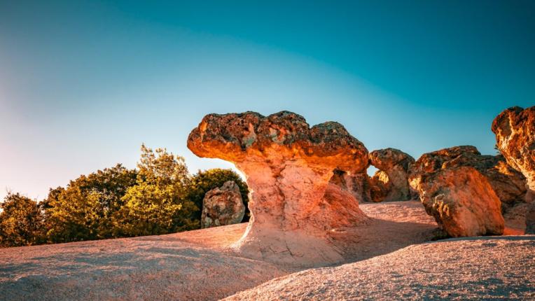 Каменните гъби