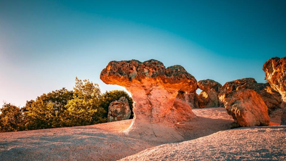 Каменните гъби