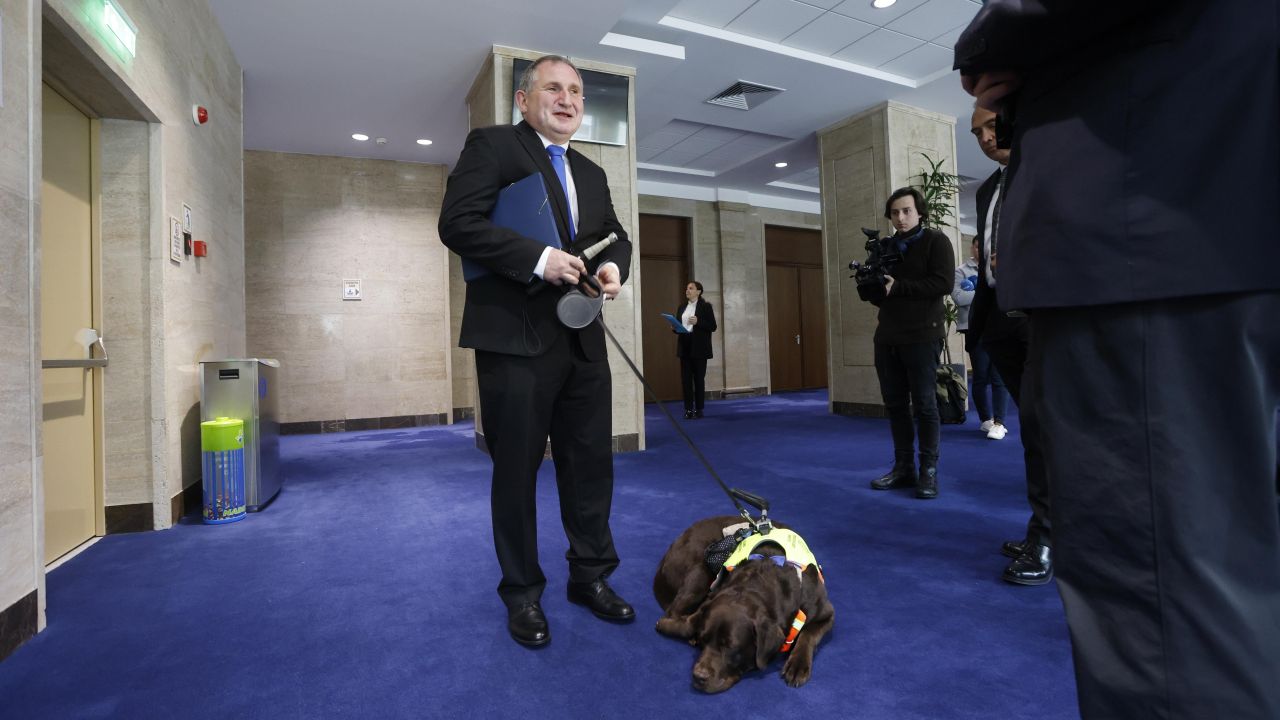 <p>Четириногият любимец, който обира симпатиите в кулоарите на парламента и доказва, че в политиката има място за верни приятели</p>