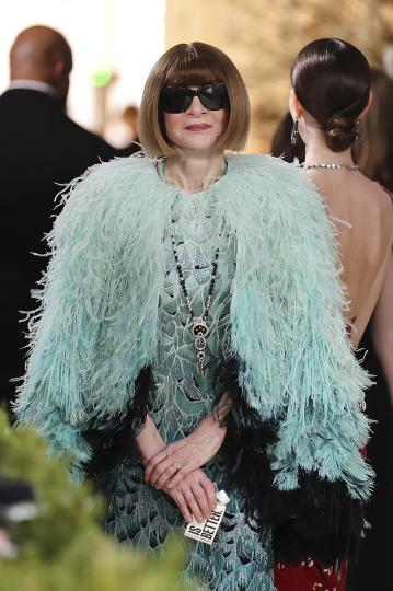 Звездите на Met Gala 2026 - снимка 31