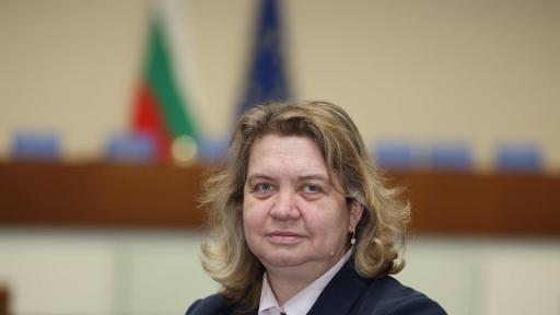 Наталия Киселова призова за повече доказателства по случая с полетите на Делян Пеевски