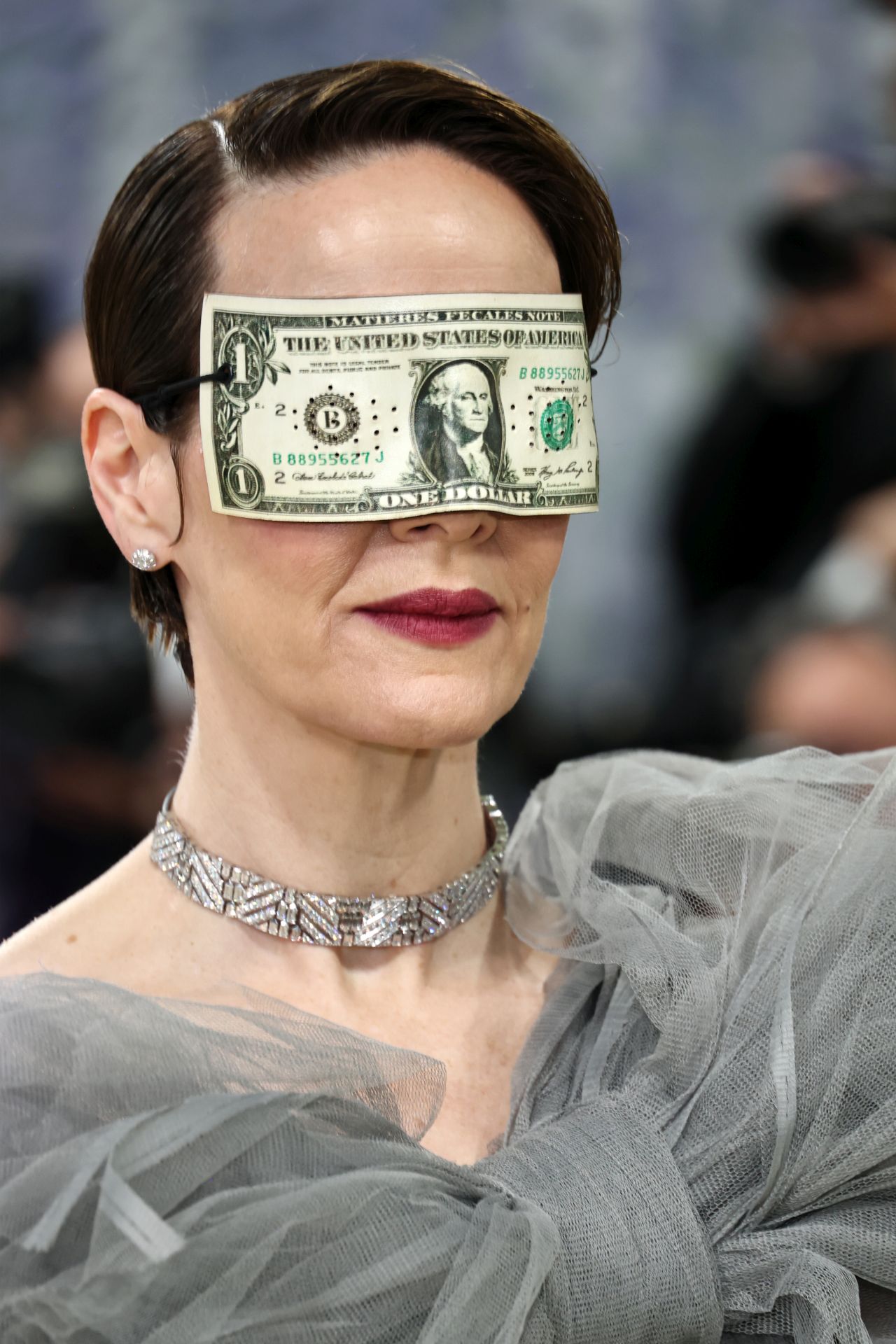 <p>Сара Полсън</p>