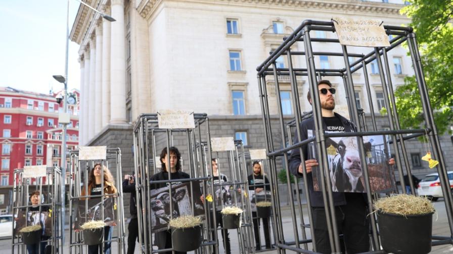 Протест пред Народното събрание срещу...