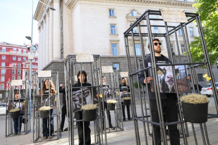 протест телета
