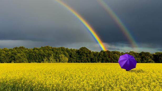 Сезонът на балловете ще е дъждовен