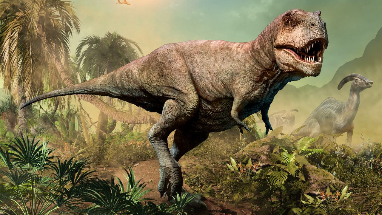 Край на мистерията: Учени разкриха истината за малките ръчички на T.rex