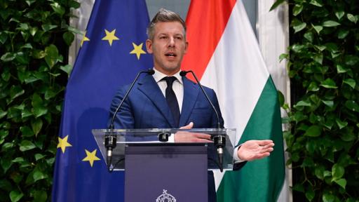Мадяр намали заплатата си наполовина