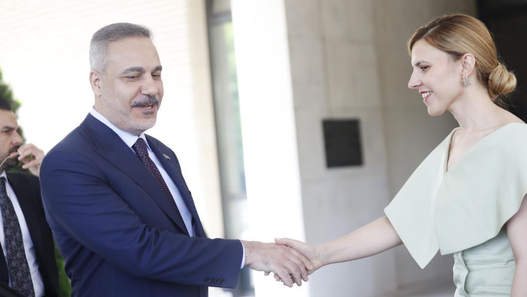<p>Визията на Велислава Петрова на срещата с Хакан Фидан.</p>