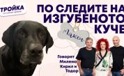 По следите на изгубеното куче