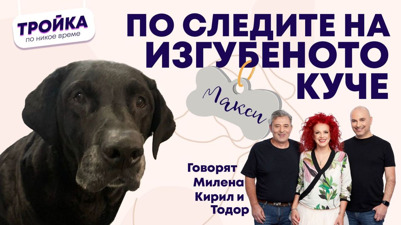 По следите на изгубеното куче