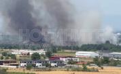 Огромен пожар гори край Околовръстното шосе в Пловдив (ВИДЕО)